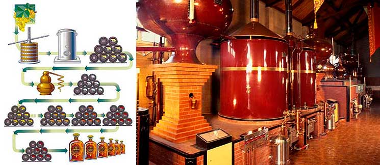 Distillates from grape marc: grappa, chacha, and rakia, in transparent bottles lined up.